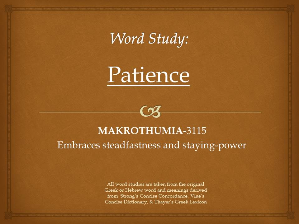 Word Study Patience